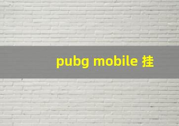 pubg mobile 挂